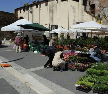 <b>MERCATINO.</b> In piazza del Sale 