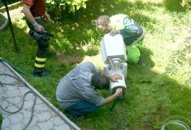 «C'è un'iguana dentro il water» E le smontano la casa