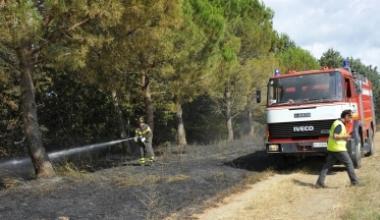 Paura per le fiamme in pineta