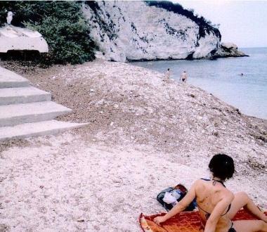 Il cumulo di posidonia 