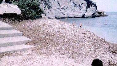 Il cumulo di posidonia