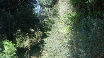 In alto le mura etrusche