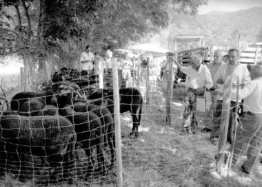La Festa dei Pastori al Melo di Cutigliano           