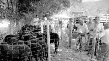 La Festa dei Pastori al Melo di Cutigliano