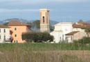 Un documento per salvare l'agricoltura