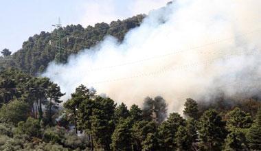 Incendio nei boschi sopra Avane