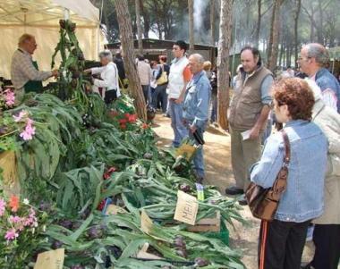 La sagra del carciofo a Riotorto 