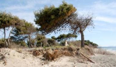 Primi passi anti-erosione sulla costa est: ripascimento in due anni