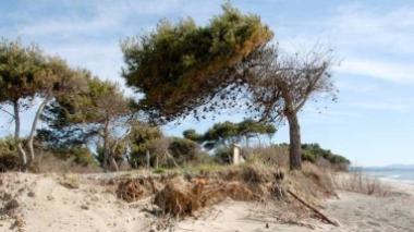 Primi passi anti-erosione sulla costa est: ripascimento in due anni
