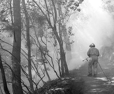 Vigili del fuoco in azione    