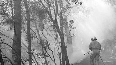 Vigili del fuoco in azione
