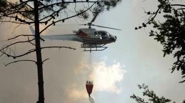 Rogo doloso nel bosco di Cerretti