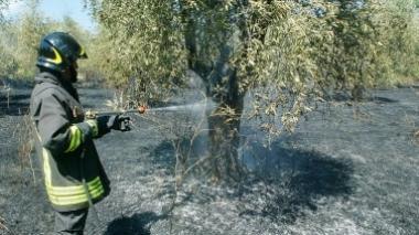 Quattro incendi in cinque giorni, è allarme piromane