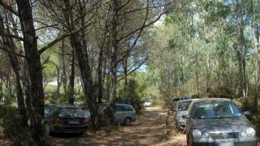 In pineta si parcheggia