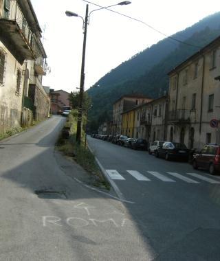 Canevara assediata dai cinghiali