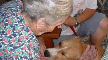 Un’anziana in una Rsa fa le coccole al suo cane