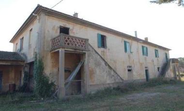 La tenuta di Rimigliano 