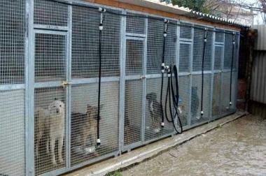 <b>CANILE.</b> La struttura gestita da Zooservice      