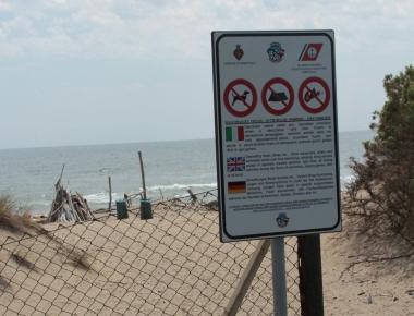 <b>NUOVI SEGNALI </b>Saranno installati in Feniglia nei prossimi giorni dopo le tragedie e le polemiche degli ultimi giorni 
