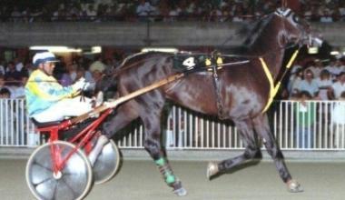 Serata di gala al Sesana con il Gp Terme