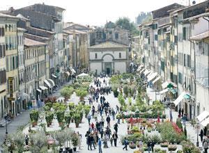 Tante domande insolute sulla liquidazione del consorzio Coad