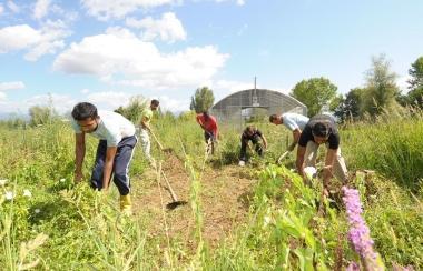 Alcuni rifugiati al lavoro nei campi 