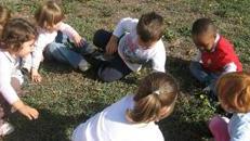 Asili nido, da lunedì online gli elenchi degli ammessi