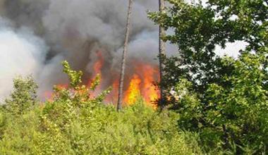 Incendio in una piccola discarica: il fumo sulla A12