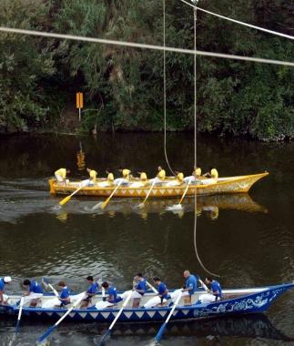 Il Palio con Montata a Limite sullArno     