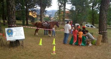 Appuntamento al Villaggio Belvedere per familiarizzare con i cavalli  