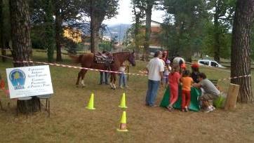 Appuntamento al Villaggio Belvedere per familiarizzare con i cavalli