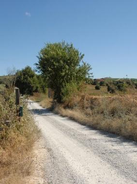 Una strada di campagna  