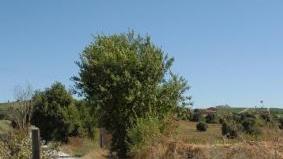 Una strada di campagna