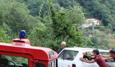 Con l'auto nella scarpata: coniugi salvati dalla vegetazione