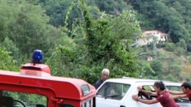 Con l'auto nella scarpata: coniugi salvati dalla vegetazione