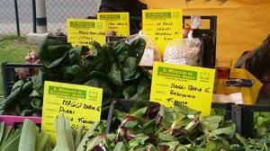 Arriva il mercatino di Campagna Amica