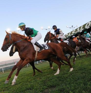 <b>AL CASALONE.</b> Stasera in programma quattro gare 