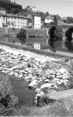 Gara per la pulizia o lo sfalcio dell'erba