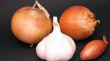 Cipolle e agli saranno protagonisti di una sagra