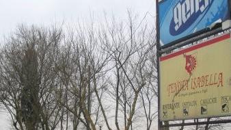 L’area della Tenuta Isabella dove dovrebbe sorgere l’impianto
