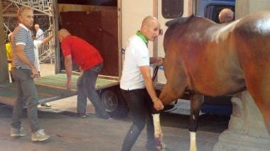 Sopra, la caduta del fantino del Leon d’Oro, a fianco Sopran Ginestra ferita dopo la caduta viene portata via dalla piazza a destra, un cavaliere durante le prove di sabato sera