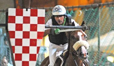 Cavallo morto, gli organizzatori: «Abbattimento con ok dell'Asl»