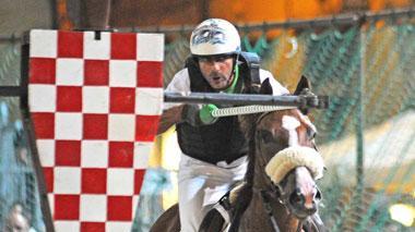 Cavallo morto, gli organizzatori: «Abbattimento con ok dell'Asl»