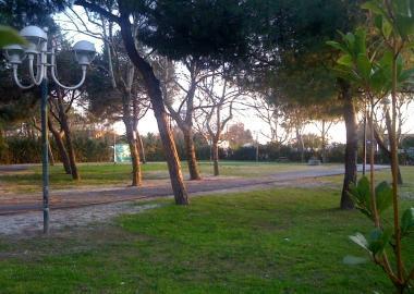 <b>SPETTACOLO. </b>La pineta Fleming 