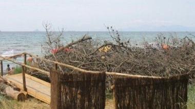 Un accesso alla spiaggia della Sterpaia delimitato da barriere naturali a salvaguardia della duna