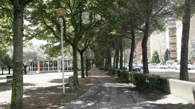 Il punto del noleggio biciclette