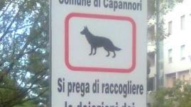 Il cartello di divieto nel parco don Aldo Mei