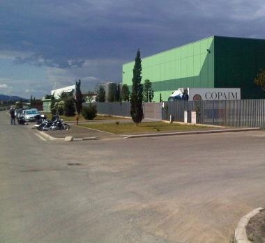 <b>ALBINIA. </b>La zona artigianale delle Topaie    
