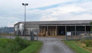 Il Consorzio Incremento Zootecnico di San Donato