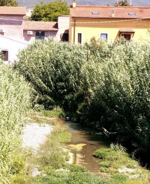 Il torrente sulla 206 dove si &egrave; verificato lo sversamento di liquami 